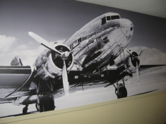 Big Sky Wallpapering